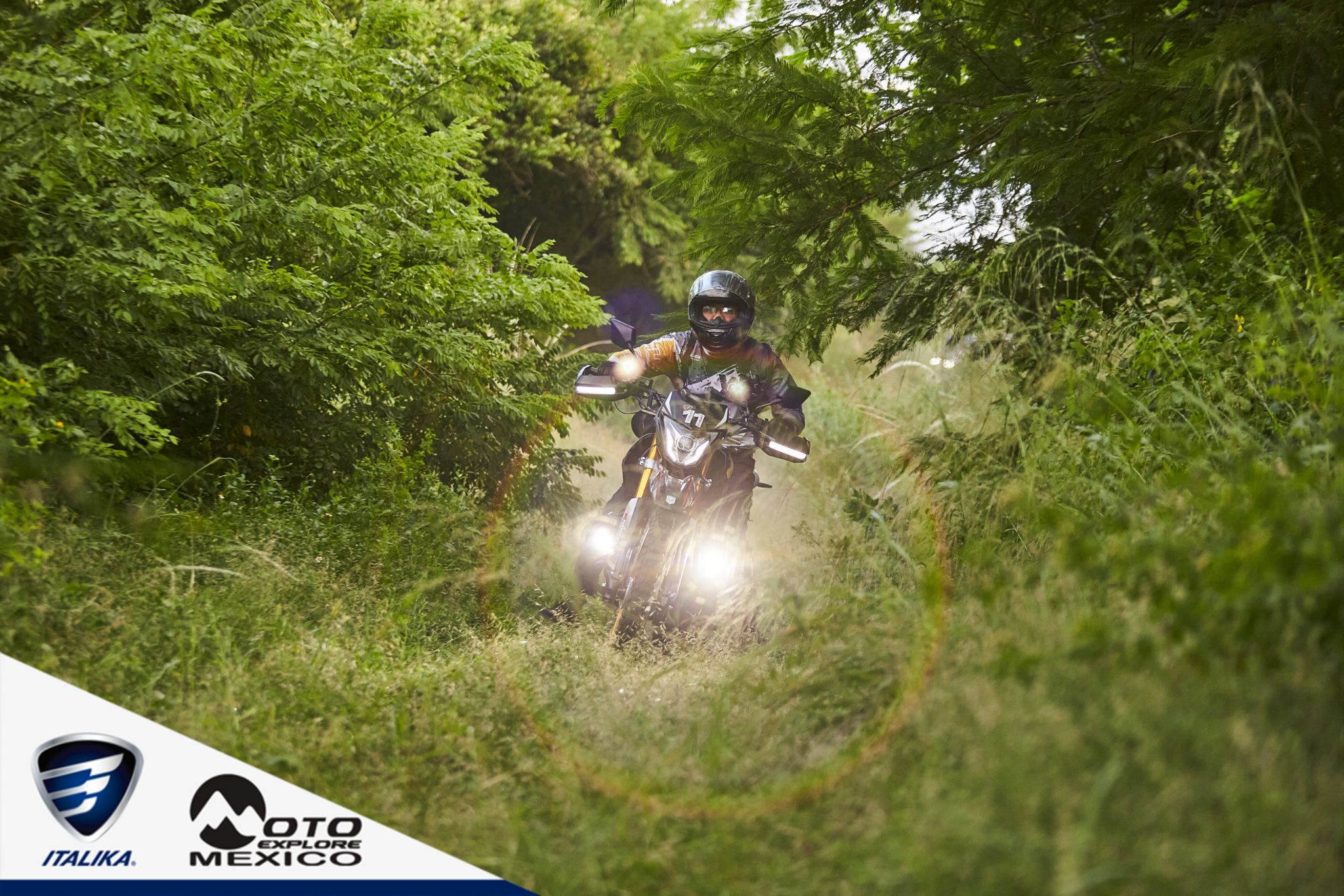 ITALIKA CHACHALACAS D1 384